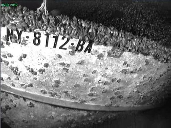 Fishing Boat - NY8112BA (6)